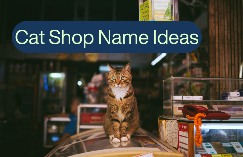 Cat Shop Name Ideas