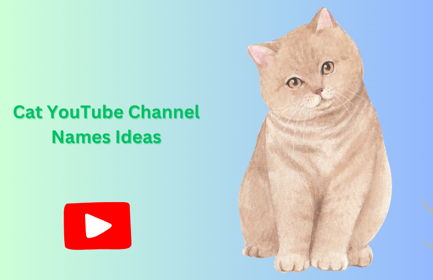 Cat YouTube Channel Names Ideas