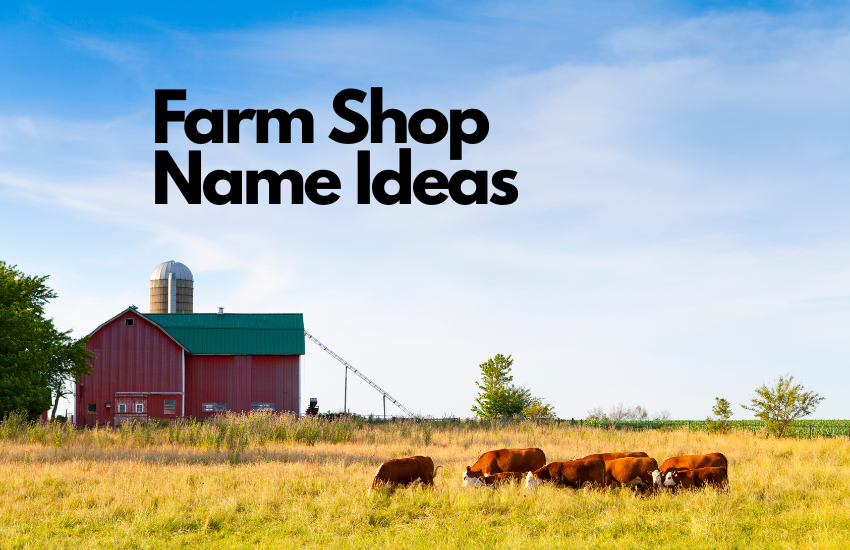 Farm Shop Name Ideas