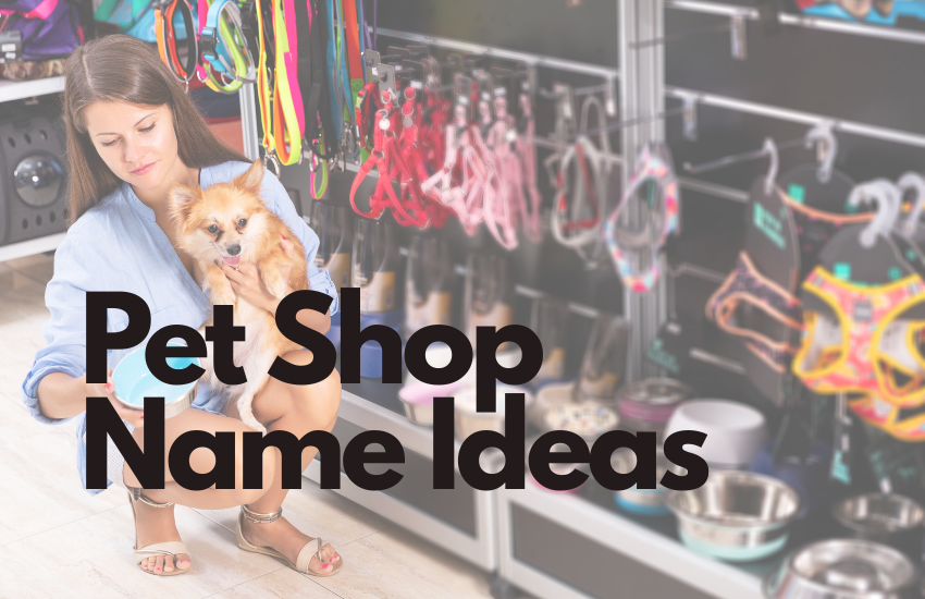 Pet Shop Name Ideas