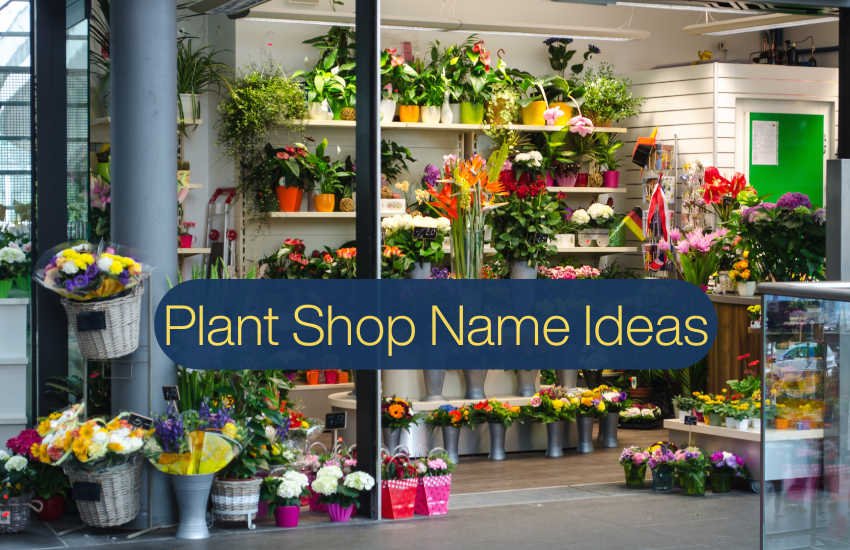 Plant Shop Name Ideas