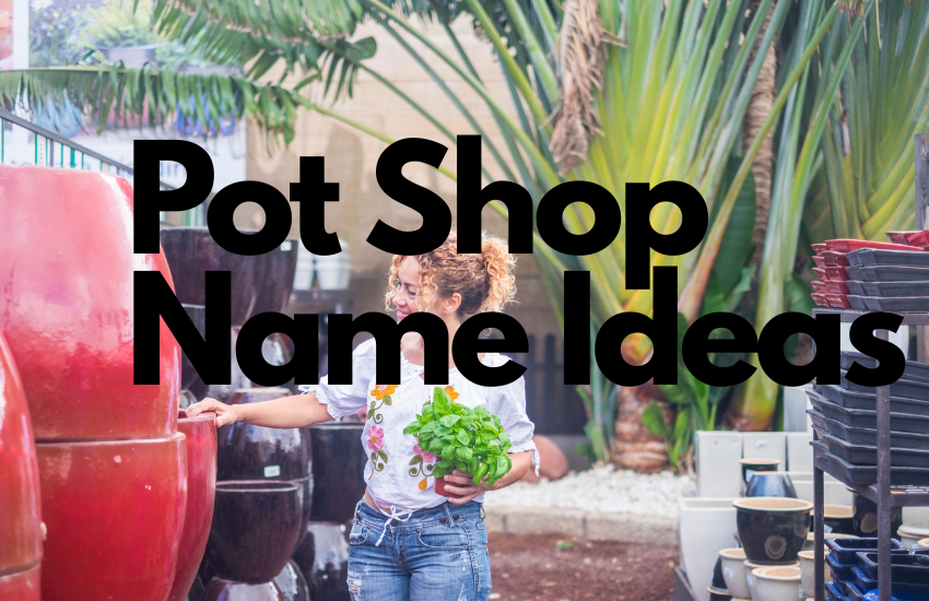 Pot Shop Name Ideas