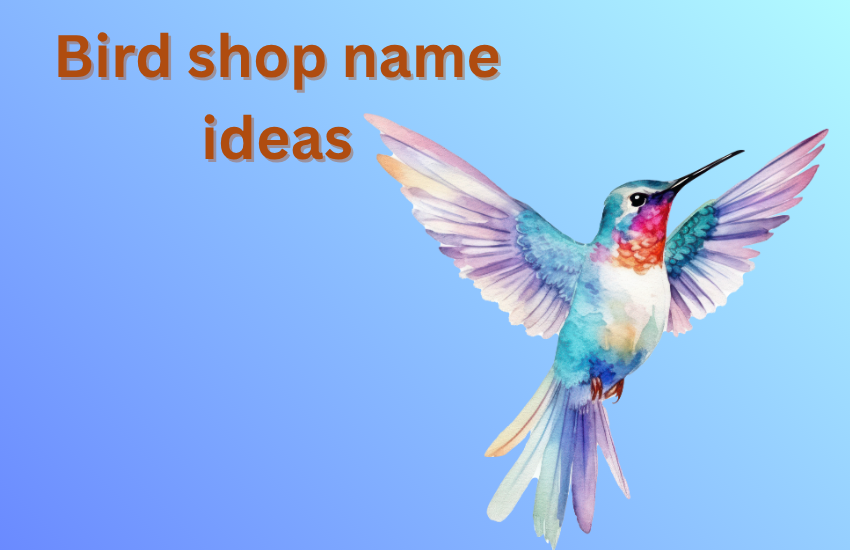 bird shop name ideas