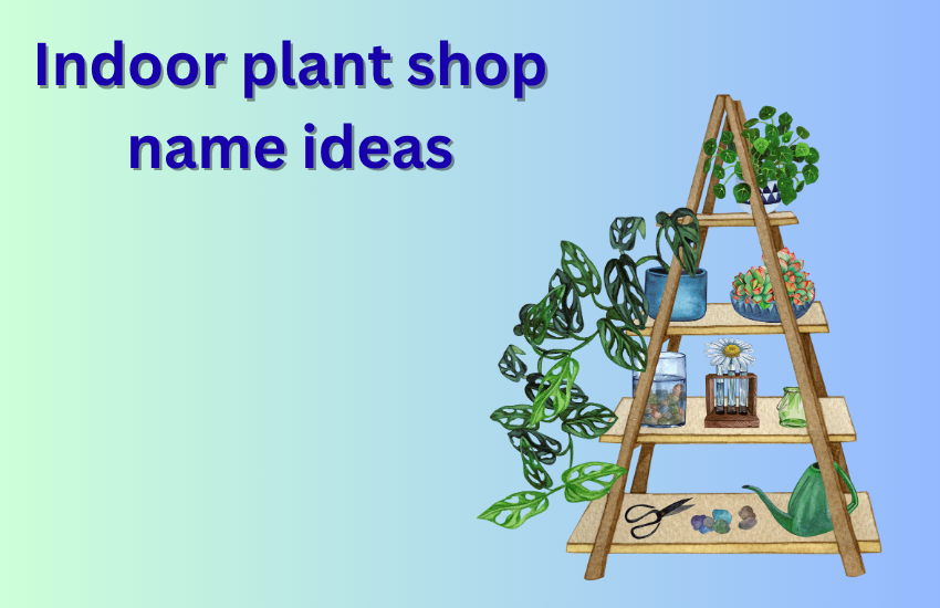 indoor plant shop name ideas