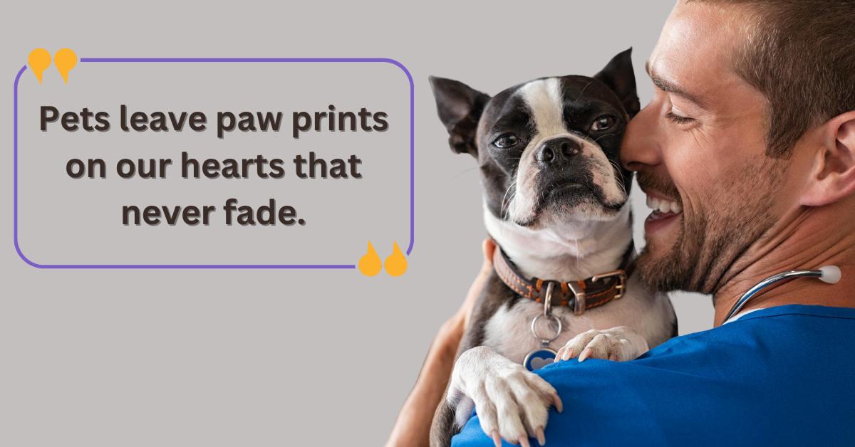 Best Pet Sympathy Quotes