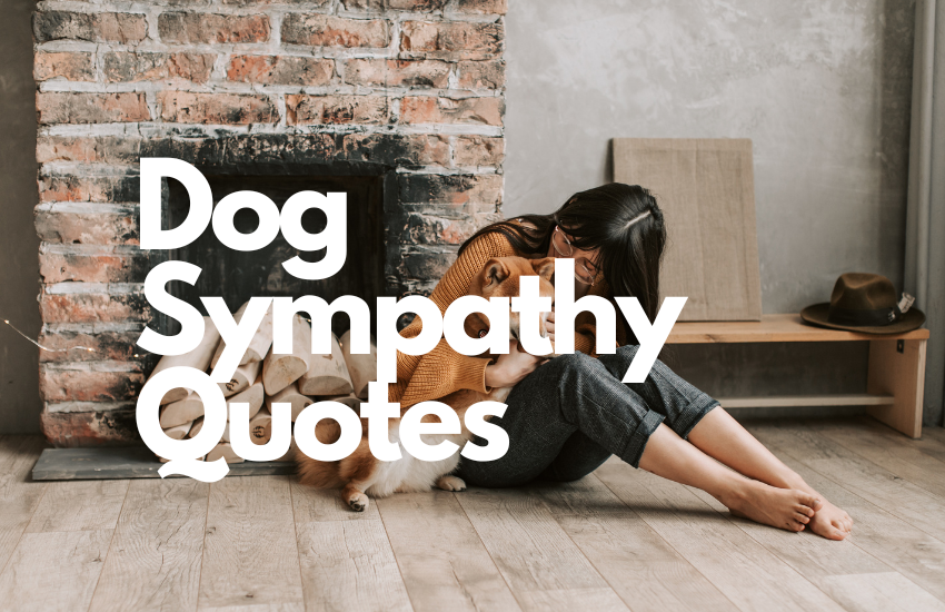 Dog Sympathy Quotes