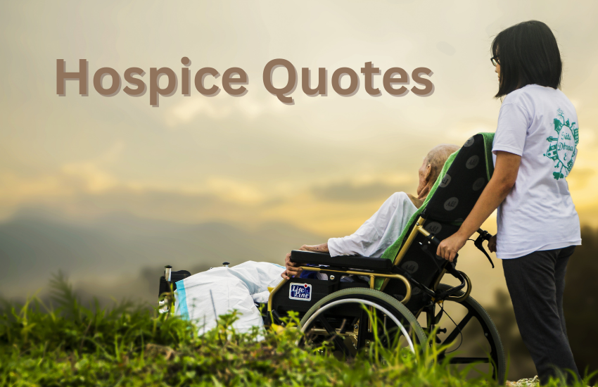 Hospice Quotes