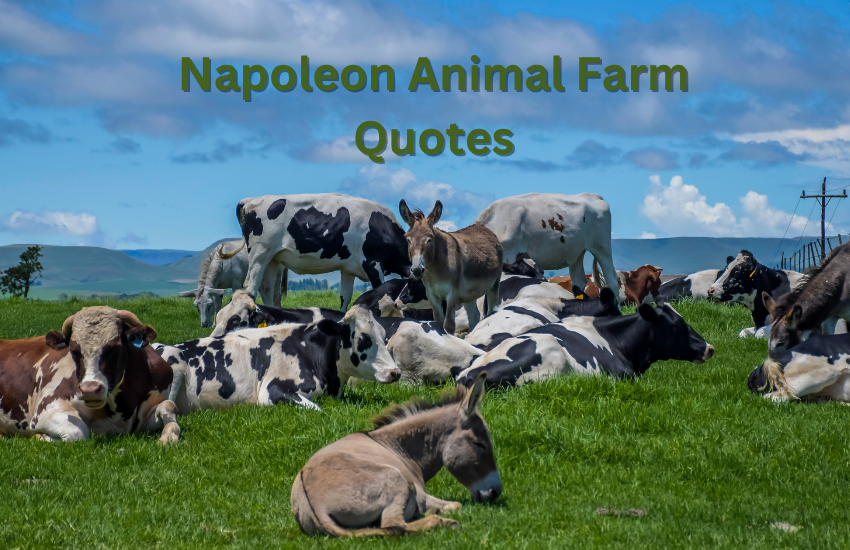 Napoleon Animal Farm Quotes