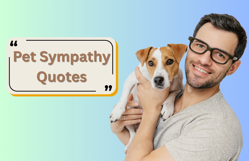 Best Pet Sympathy Quotes