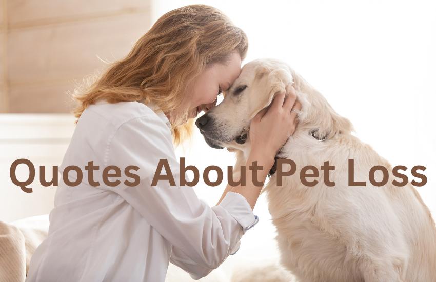 Quotes About Pet Loss