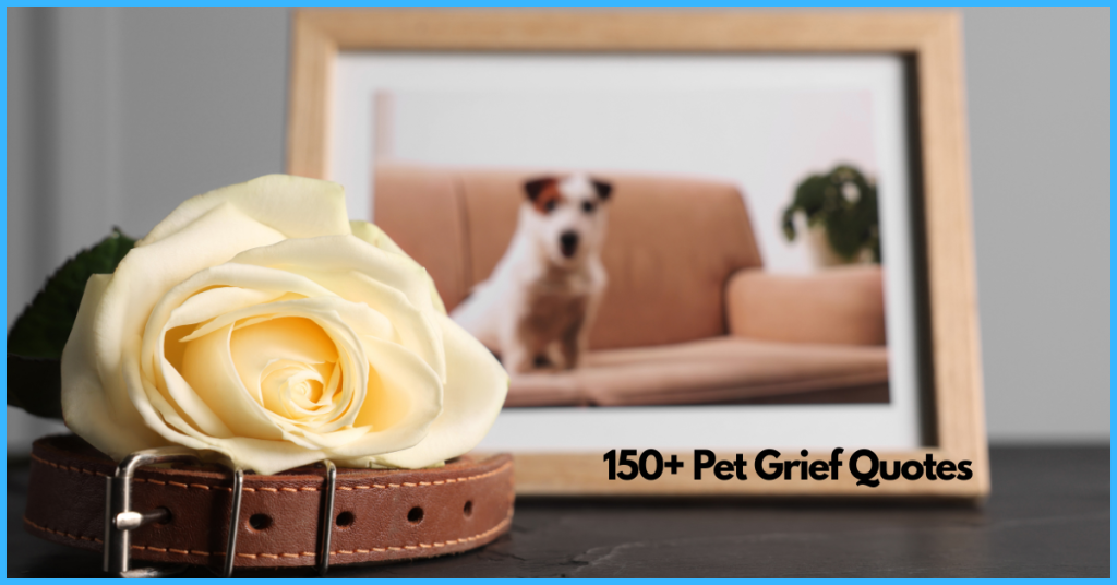 pet grief quotes