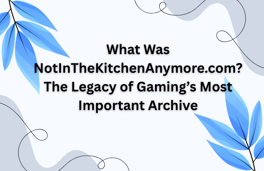 What Was NotInTheKitchenAnymore.com? The Legacy of Gaming’s Most Important Archive